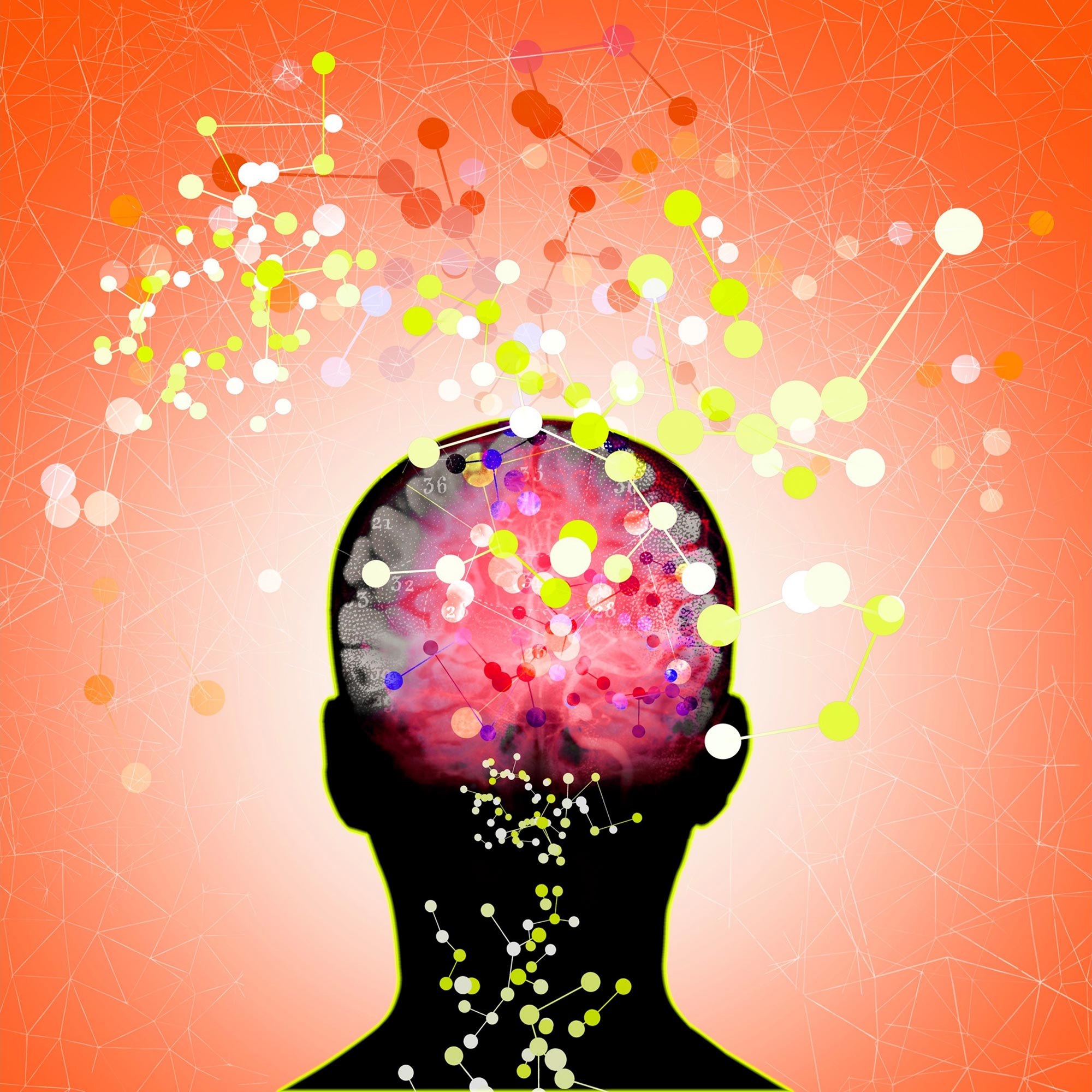 Percée dans la maladie d’Alzheimer : une nouvelle cible thérapeutique trouvée
