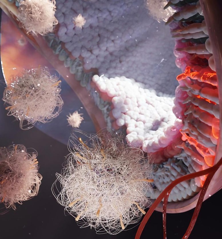 mRNA