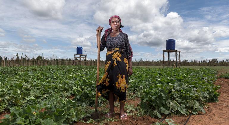Transformer les systèmes alimentaires, « un accélérateur critique » vers les objectifs de développement de 2030, selon le chef adjoint de l’ONU