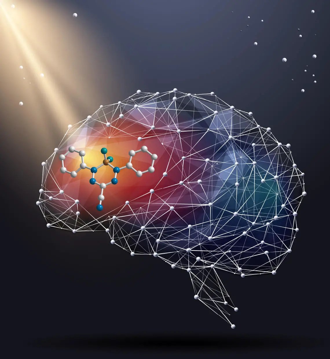 Un nouveau colorant fluorescent peut éclairer le cerveau