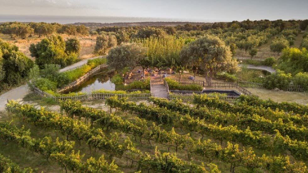 Écothéologie : un appel à une conversion de vision