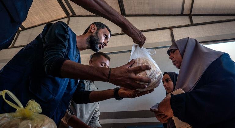 Le plan de paix à Gaza est “à un moment précaire” alors que les massacres se poursuivent des deux côtés Le plan de paix à Gaza est “à un moment précaire” alors que les massacres se poursuivent des deux côtés